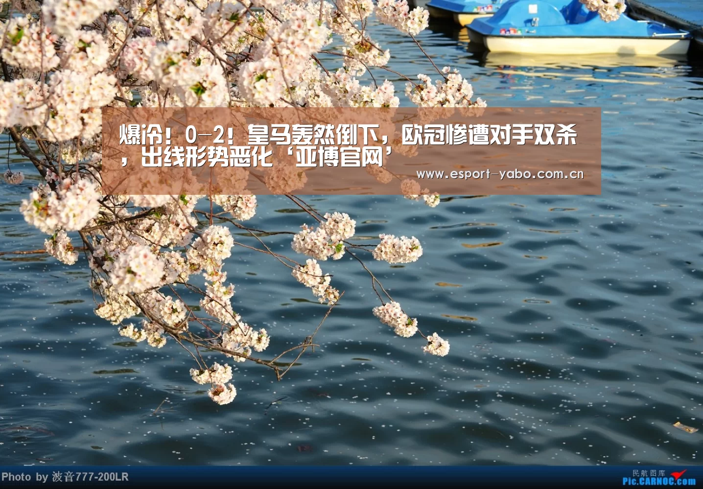 亚博app