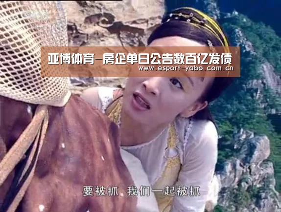 亚博体育-房企单日公告数百亿发债(图2) 亚博体育