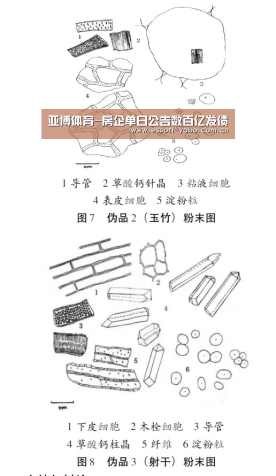 亚博体育-房企单日公告数百亿发债(图3) 亚博官网