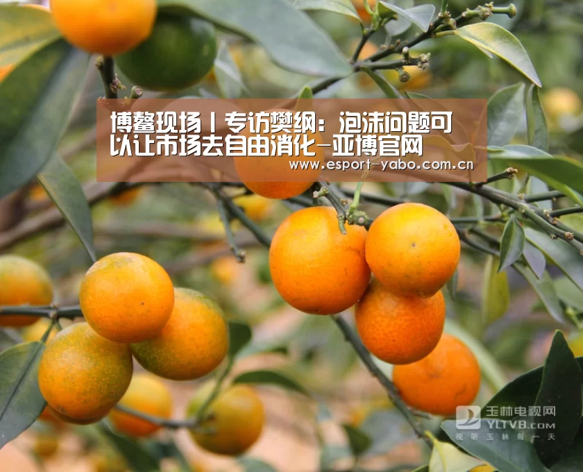 博鳌现场丨专访樊纲:泡沫问题可以让市场去自由消化-亚博官网(图3) 亚博官网